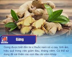 Bài thuốc dân gian chữa đau xương khớp và trị ho, cảm cúm tuyệt vời bạn nên biết